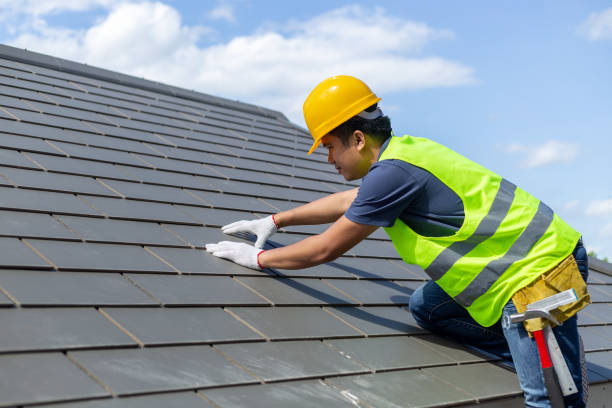 Trusted Tuscola, IL Roofing Contractor Experts