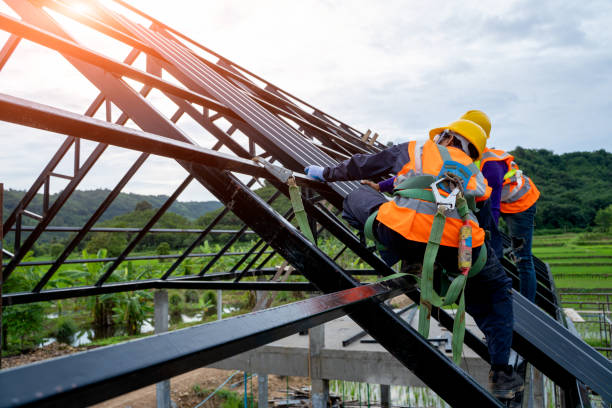 Best Flat Roof Repair Services  in Tuscola, IL