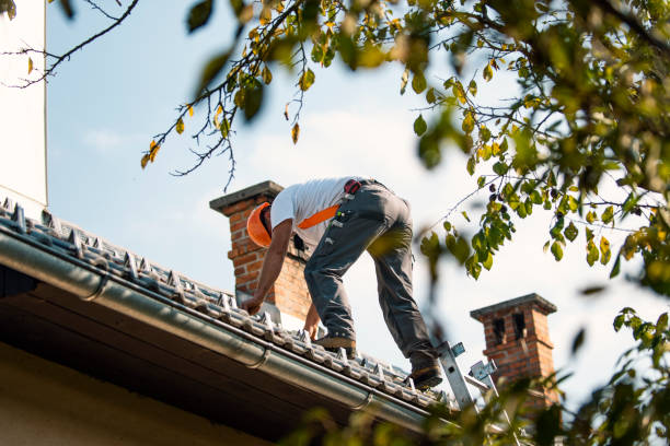 Best New Roof Installation  in Tuscola, IL