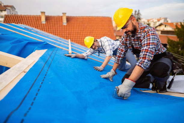 Best Emergency Roof Repair  in Tuscola, IL