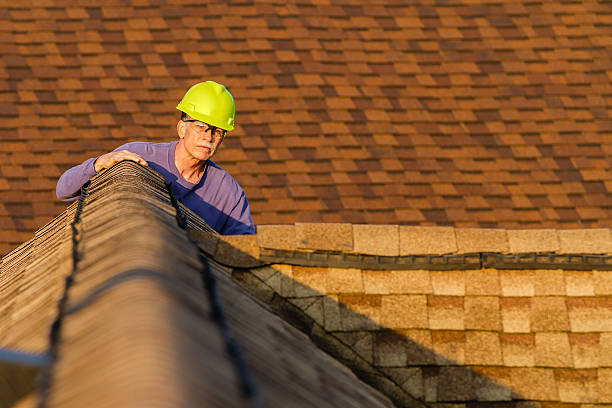 Best Roof Maintenance Services  in Tuscola, IL