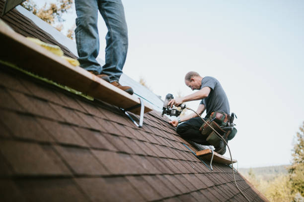 Best Commercial Roofing Services  in Tuscola, IL