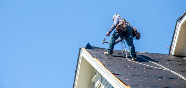 Best Roof Repair Services  in Tuscola, IL